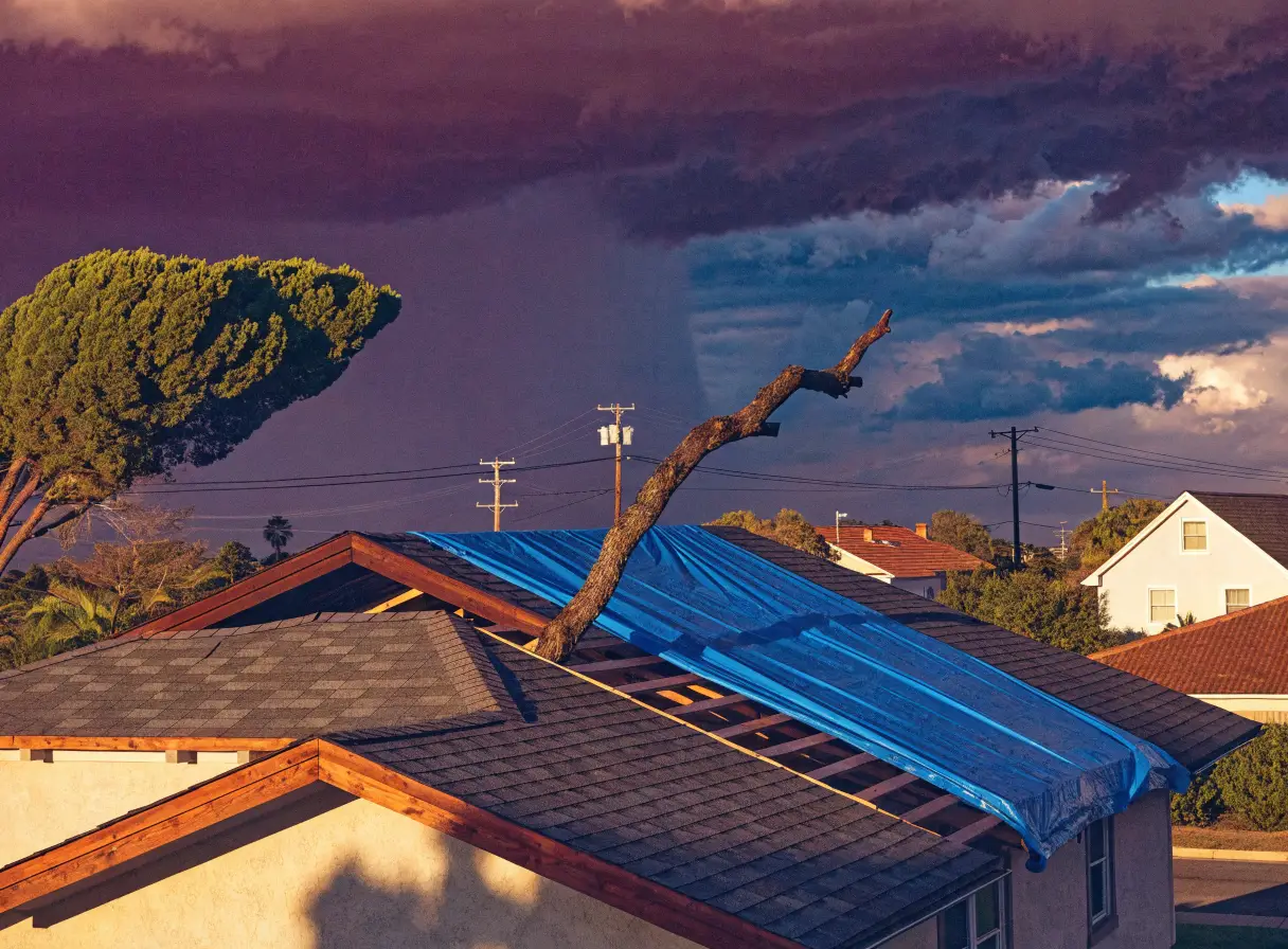 Storm & Wind Damage Repair in San Francisco
